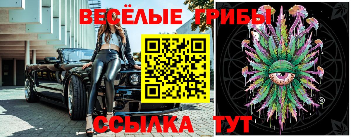 Галлюциногенные грибы ЛСД Чернушка