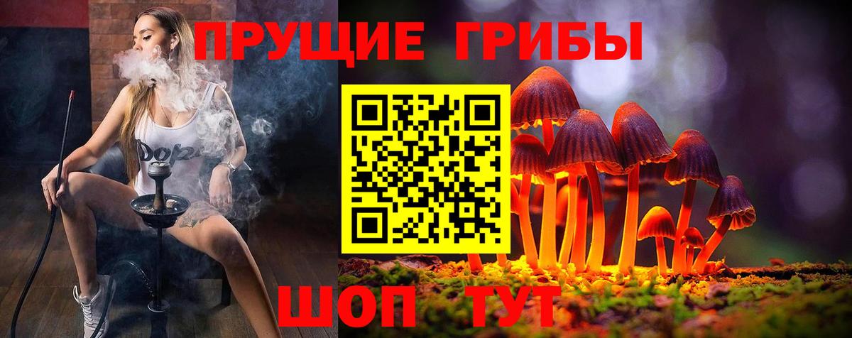 Галлюциногенные грибы прущие грибы  Псилоцибиновые грибы Magic Shrooms  Вход с VPN  Чернушка 